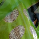 황토현농장 이미지