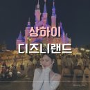 해적 PC | 상하이 디즈니랜드,패스트(DPA)없이 티켓할인정보 및 TIP 후기✨