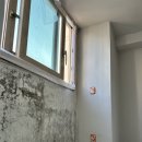 현대성우오스타2단지 | 이천 탄성코트 현대성우오스타2단지 곰팡이로 인한 스트레스 한번에 해결!