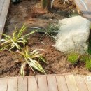 다인카페 이미지