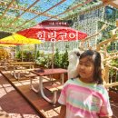 시흥 이색카페 | 힐링코어, 아이랑 가볼 만한 곳 앵무새카페 찐추천