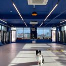 서귀포주짓수,복싱 이미지