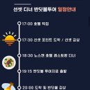 놀다투어