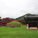 신숭겸장군 유적지 배롱나무꽃 이미지