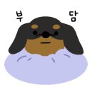 공임나라 수원파장점 이미지