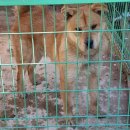 광덕3리 이미지