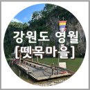 한반도뗏목마을 | 강원도 영월 한반도 뗏목마을 뗏목체험, 시간 및 금액