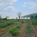 주대농장 이미지