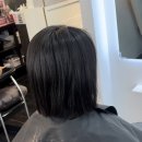 브라운&블랙 네이버블로그