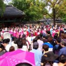 한복데이 이미지