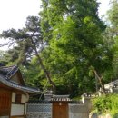 신유 묘역 이미지