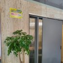 내일또오리 이미지