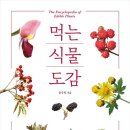 [서평] 먹는 식물 도감