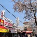 안암동 대학가 길 이미지