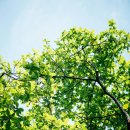 (초급) 일본어회화 이미지