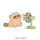 라쿠니