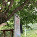 시골밥이랑국수 | 단양로컬맛집 2대째 이어온 진한 국물의 나루터민물식당 어탕국수