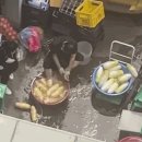 인족발집