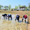 (주)도울정보기술 이미지