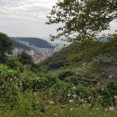 문화마을길-1 이미지