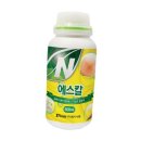 에스칼 이미지