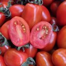 내외로L 이미지