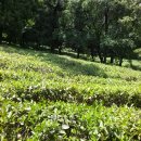 진주교방 이미지