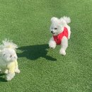 스테이더담 무안점 이미지