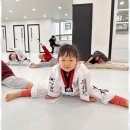 늘푸른 경희대 태권도장 | 태권도장 아이들의 꿈과 성장을 함께하는 늘푸른경희대태권도장