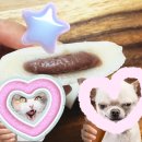 시루조아 굳지않는 떡 앙꼬절편 먹어본 후기 🍡✨️