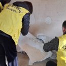 보금자리 이미지