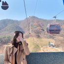 충북 제천 숙소) 제천 게스트하우스 &#39;엽연초하우스&#39; 후기 + 제천 1박2일 여행코스 추천