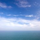 고향순대 이미지