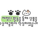 봄고양이마을