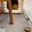 소솜 | [경주여행] 경주 보문단지 한식 맛집 소솜당 내돈내산 솔직후기