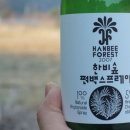 한비숲 이미지