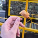 장터 | 제주도 동문시장맛집 먹거리장터 후기 주차 웨이팅 기념품까지