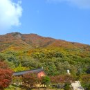 파주드라이브 이미지