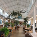 황금장어 이미지