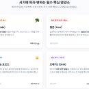 (주)고려종합중기 | 임산부 종합비타민 vs 단일 엽산제, 내 임신 시기에 맞는 선택은?