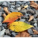 수성랜드 이미지