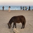 다원다방 이미지