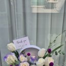 레플레르 이미지
