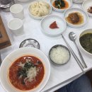 모솔양계 이미지