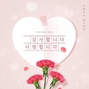 지오애견미용샵 이미지