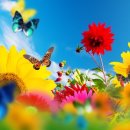 보광한의원 이미지