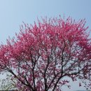 우포2로 이미지