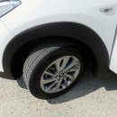 황금카모터스 이미지