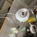 맘존여성병원 이미지