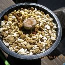 햇살한의원 이미지